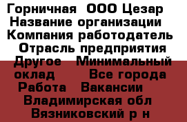 Горничная. ООО Цезар › Название организации ­ Компания-работодатель › Отрасль предприятия ­ Другое › Минимальный оклад ­ 1 - Все города Работа » Вакансии   . Владимирская обл.,Вязниковский р-н